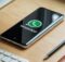 WhatsApp Guest Chats